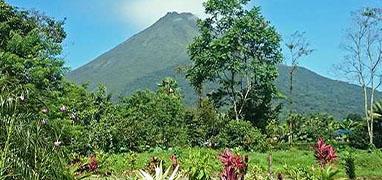 Arenal Volcano and Hot Springs One Day Tour