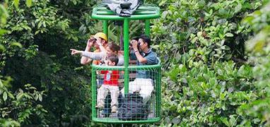 Braulio Carrillo National Park Aerial Tram Tour