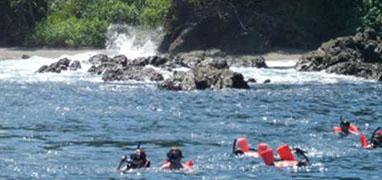 Caño Island Biological Reserve Snorkel Tour