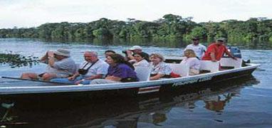 Damas Mangrove Night Boat Tour