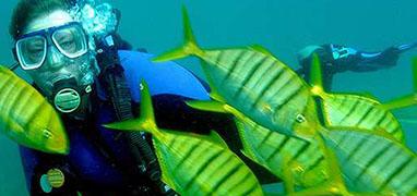 Discover Scuba Papagayo