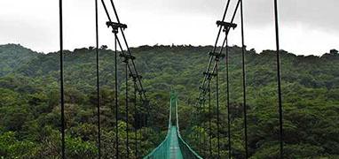 Monteverde Hanging Bridges Tour