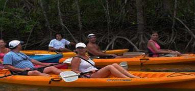 Kayak Damas Island Mangroves at Night Tour