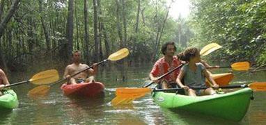 Kayaking Playa Guapil Mangroves