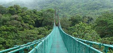 Monteverde Cloud Forest Experience