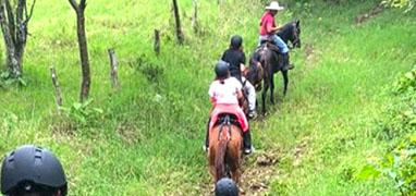 Cloud Forest Horseback Riding Monteverde, Costa Rica