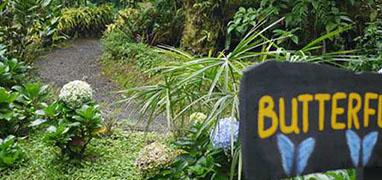 Private Monteverde Cloud Forest Express (Private Chauffeur Services)