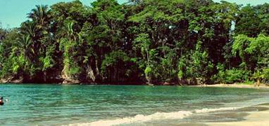 Costa Rica to Panama Shuttle
(Bocas Shuttle Arriving / Departing From Puerto Viejo, Playa Negra, Cocles & Playa Chiquita)