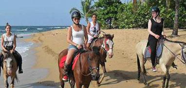 Punta Uva Beach Horseback Riding Tour