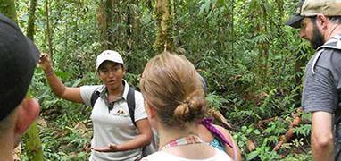 Rio Celeste & Tenorio National Park Hike