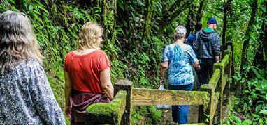 Balsa River Paddle, Arenal Saddle & La Fortuna Waterfall Hike