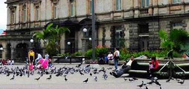 Sarchi Oxcarts & San Jose City Tour