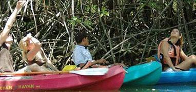 Tamarindo Mangroves & Estuary Kayak Tour