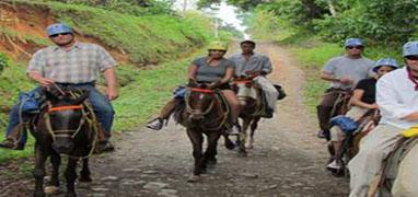 Tocori Waterfalls & Rancho Don Gilberto Horseback Ride