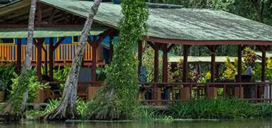 Tortuguero Canal Boat Tour + Limon Banana Plantation