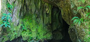 Venado Caves Tour