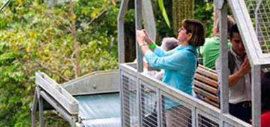 Veragua Aerial Tram, Park + The Original Canopy Tour