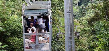 Veragua Rainforest Aerial Tram and Nature Park