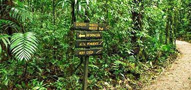 inca Modelo Waterfall Hike in Costa Rica's Cloud Forest